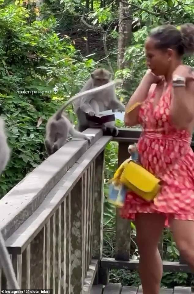 The woman tried to trade the monkey a piece of paper in exchange for the crucial document before another monkey crawled up and startled her