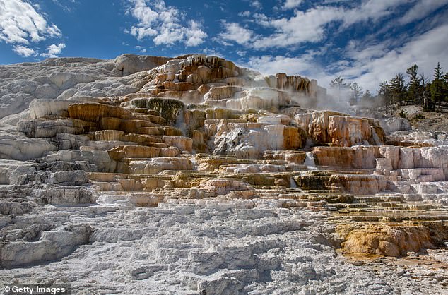 The James Bond actor is accused of leaving the designated walkway and attempting to access the thermals at Mammoth Terraces