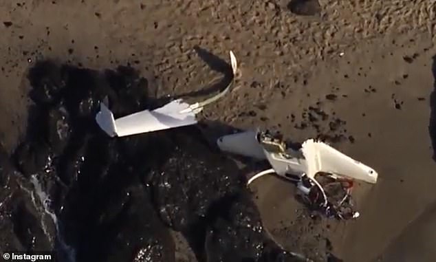 Gruesome images show parts of the wreckage of the Cozy Mark IV – a four-seat light aircraft that can be assembled from a kit – washed up on the rocks this week