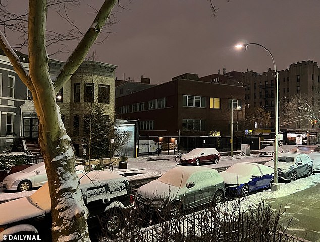 Brooklyn, New York, is photographed early Tuesday.  The city had not had significant snow for more than 700 days