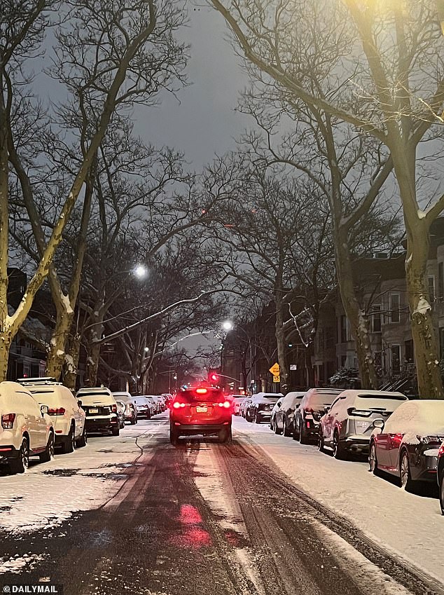 Brooklyn, New York, is pictured in snow Tuesday morning as an arctic freeze hits the US