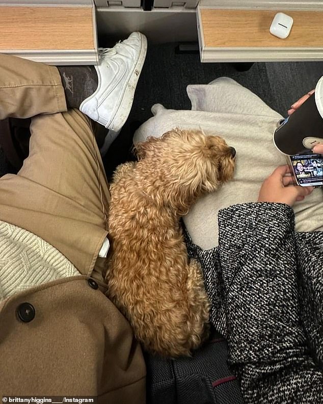 Kingston, the couple's Cavoodle, was featured in several photos in the Instagram post