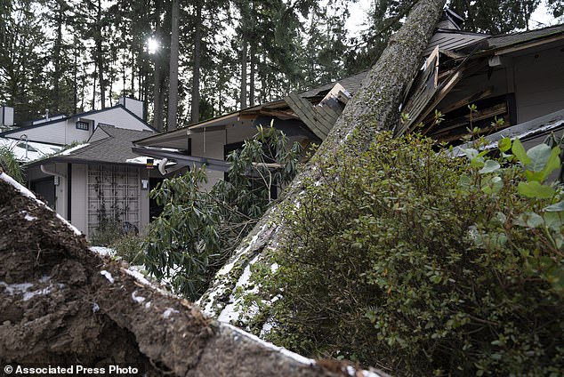 A tree rests on a house after a storm passed through the Lake Oswego area