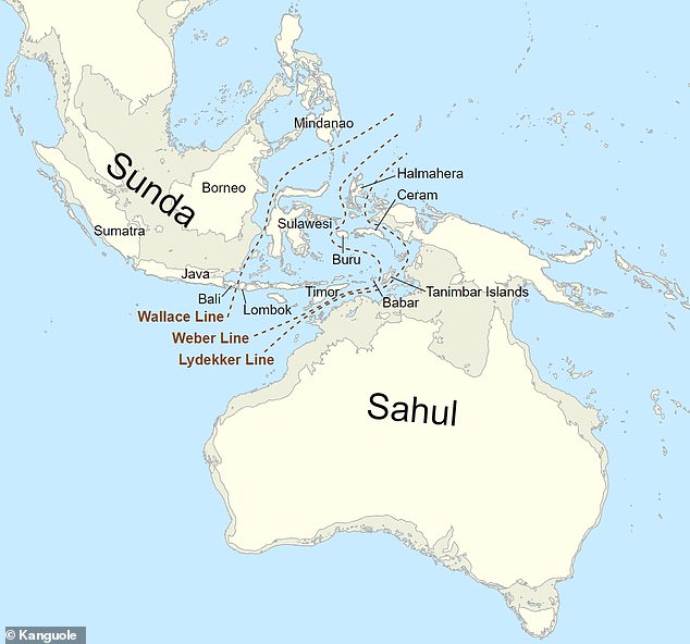 Sahul was a supercontinent consisting of the present-day landmasses of Australia, Tasmania and New Guinea