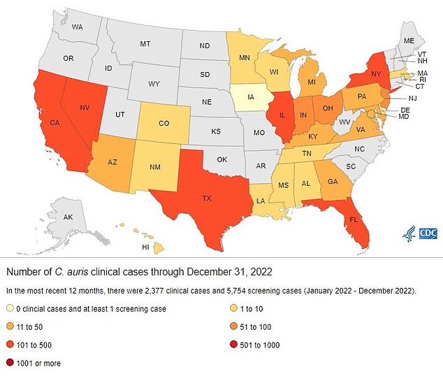 Nevada had the highest number of C. auris cases in the U.S. last year with 384. Next is California with 359 cases and Florida with 349.