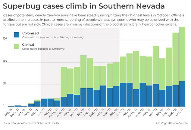 In November 2023, US health officials raised the alarm over a massive spike in cases of a 'super fungus' that originated in Nevada