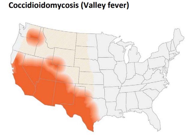 The most recent data from the Centers for Disease Control and Prevention shows that there were 20,000 cases in the US in 2019.