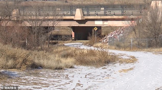 Police in Pueblo, Colorado found a decapitated female body in Fountain Creek on January 10 (photo)