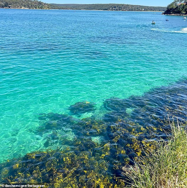 A steep staircase leads beachgoers under leafy green trees to the vibrant aquamarine coastline with crystal clear waters