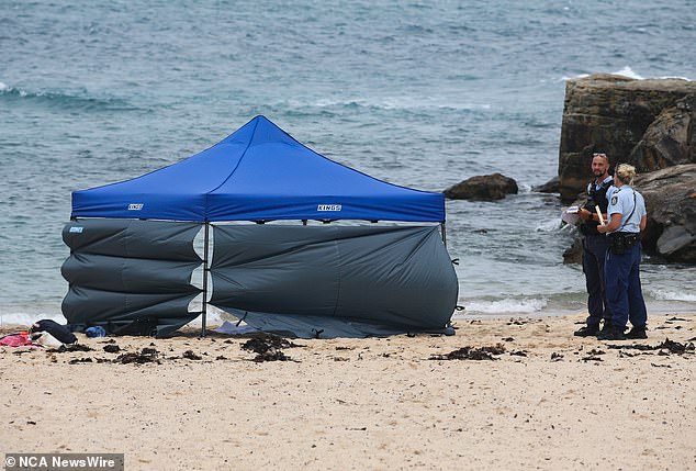 The woman, 32, drowned at Shelly Beach in Manly on Wednesday afternoon (pictured) after being seen face down and motionless in the sea