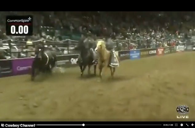 You see how he tries to free himself from the horse, but his attempts prove unsuccessful.  Finally he slid off the animal