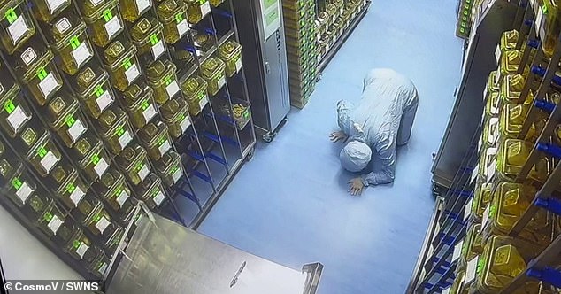 The technician doesn't realize the mouse is on her back as she squats on the floor to check it under a shelf