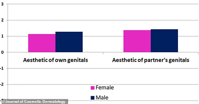 Men and women rated both their partner's genitals and their own genitals positively on a scale from -3 (most negative) to +3 (most positive)