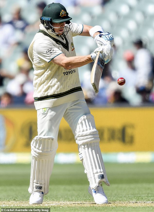 Australia won by 10 wickets in what was the shortest Test ever played in Adelaide (photo, star batsman Steve Smith)