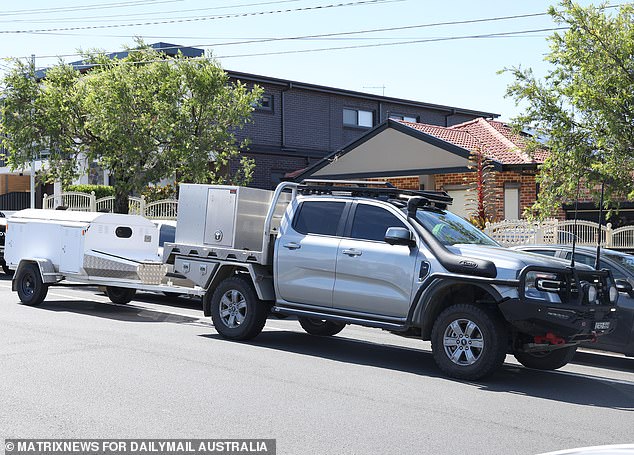 On Friday morning, city guards arrived with a stun dart gun and took the unconscious dog into the trailer at the back of the photo.