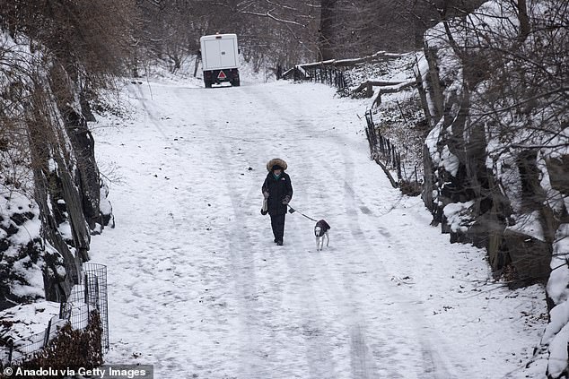 A person walks his dog through New York's Central Park this week as the city prepares for another round of snow this week