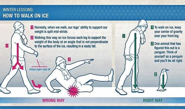 NHS trusts in Scotland have previously issued the same strange edict, telling people to walk like a penguin and keep their weight on their standing leg while walking in previous cold snaps, such as this example from 2021