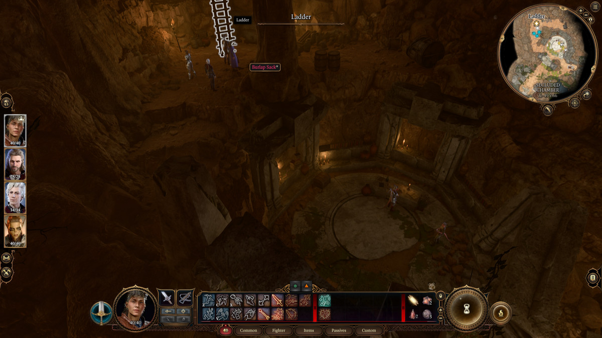 A screenshot taken in the “Secluded Chamber” in the Druid Grove in Baldur's Gate 3.