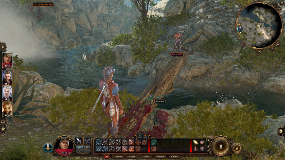 A screenshot from Baldur's Gate 3, showing a player character in a blood-splattered pose approaching Karlach with a stream flowing between them.