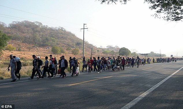 Lines of migrants are seen walking through the Mexican state of Oaxaca on January 9, heading towards the US-Mexico border