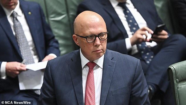 Opposition Leader Peter Dutton attacked Woolworths CEO Brad Banducci for dabbling in social issues and endorsing Anthony Albanese's 'woke agenda'