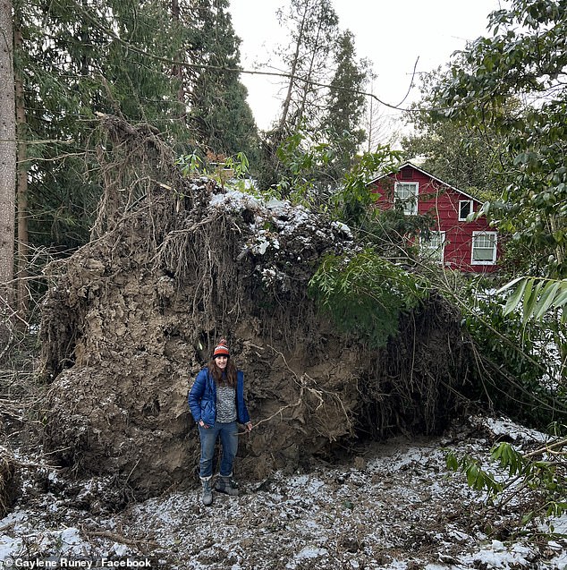 She fears she will leave her historic $1.4 million home of 47 years after trees pierced the roof of her property and cut off her water and electricity.