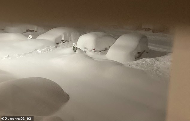 Snow-covered cars in West Seneca, New York, on January 17, 2024