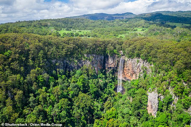 Queensland police officers had found his 2022 Volkswagen van at Purling Brook Falls (pictured) in Springbrook National Park at 10.30pm the same day