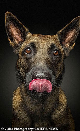 This dog licks his lips when he sees something tasty