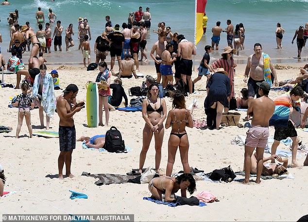 The desire to visit isolated spots to get the 'perfect photo' for social media is leading to a rise in adult drowning deaths, according to the country's top surf lifesaver