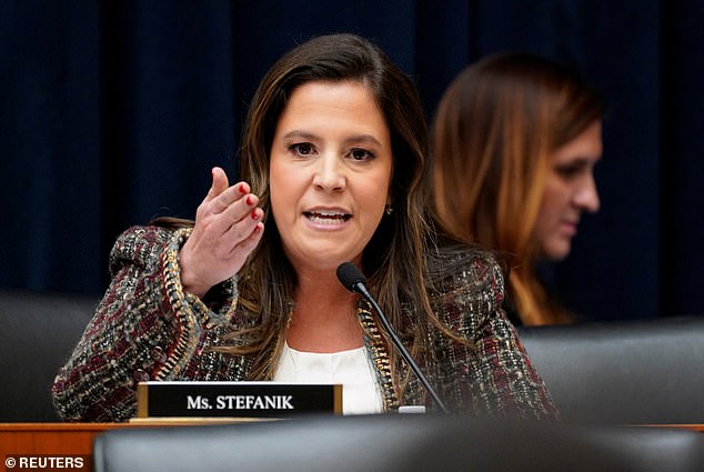 At a Mar-a-Lago dinner in December, Trump reportedly called Stefanik a 