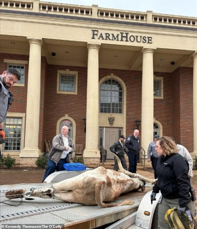 Having not yet responded to the arrests, OSU released the following statement: “The State of Oklahoma expects all students to adhere to the University's Code of Conduct.  Appropriate action will be taken based on the outcome of an ongoing internal investigation.”