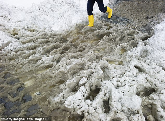 A man reported that after his girlfriend slipped on ice and broke her ankle in a park, he 'commanded' a 'wheelbarrow' to take her to safety