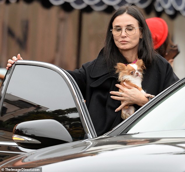 The artist's beautiful brunette hair fell to her shoulders and chest and matched the tone of her outerwear