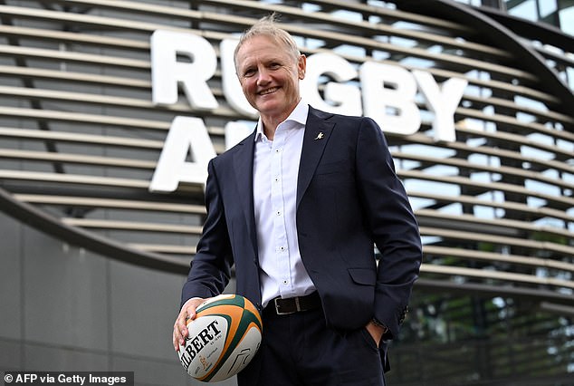 New head coach Joe Schmidt (above) can help revive the Wallabies' fortunes