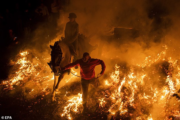 According to the region's tourism office, the horses are blessed and a procession begins to march through the streets of the village