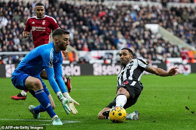 Wilson was excellent for Newcastle, but the club would sell for the right price