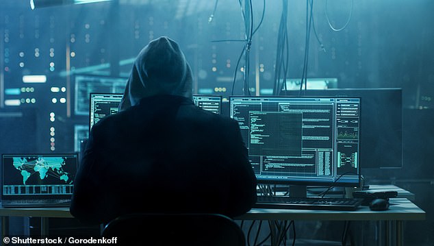 User claim hackers commonly use the tactic of sending a small, random transaction to find valid credit or debit card information and then using it for a larger scam (stock image)