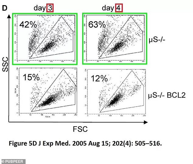 Another alleged data duplication on a paper co-authored by Dr.  Glimcher