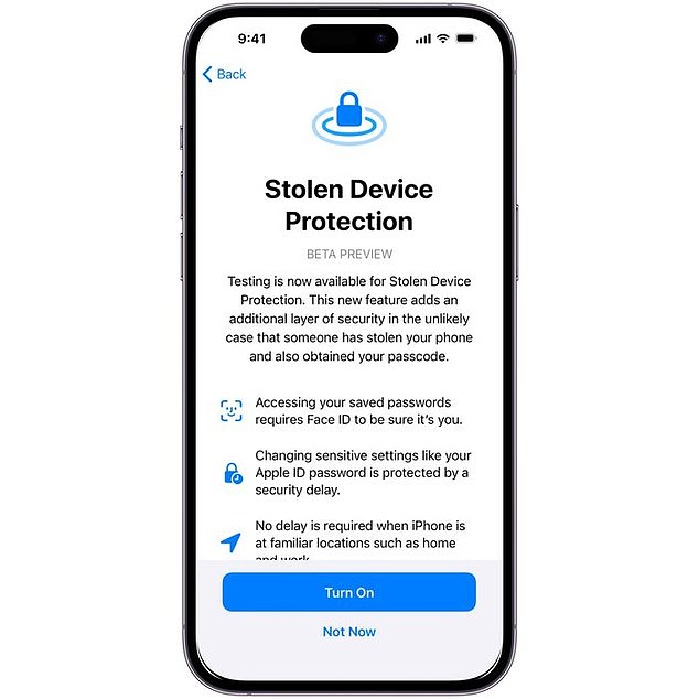 To activate Stolen Device Protection, users go to Settings and then to Face ID and Passwords, where they can enable the feature