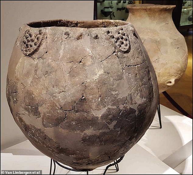 In a new study, researchers from Ghent University tried to answer this question by analyzing Roman dolia – the large clay jars that the Romans used for making wine.