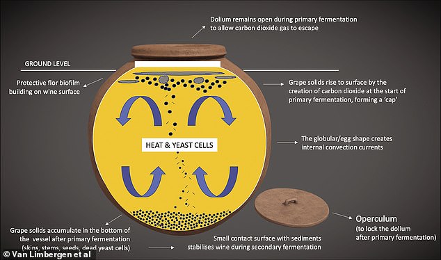 This, according to the researchers, would have promoted the formation of surface yeasts and a chemical compound called sotolon, which would have given the wine a spicy taste and aromas of toasted bread and walnuts.