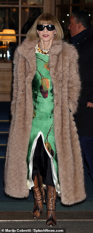 The coat covered a green maxi dress with a sleek pattern