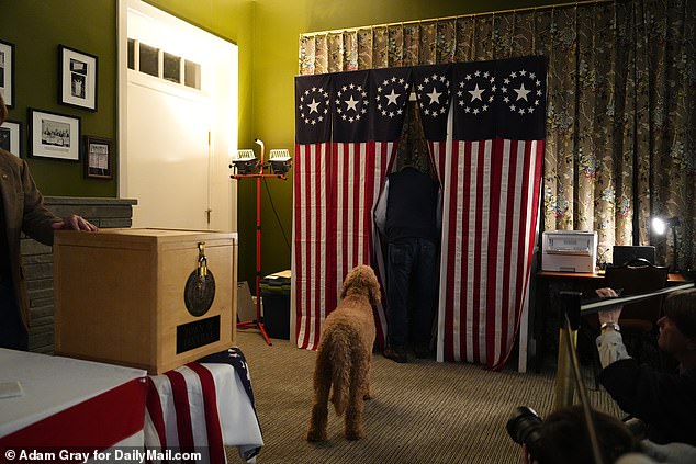 One of six Dixville Notch voters cast their ballot just after midnight with their dog accompanying him to the polls in the living room of Tillotson House at the Balsam resort