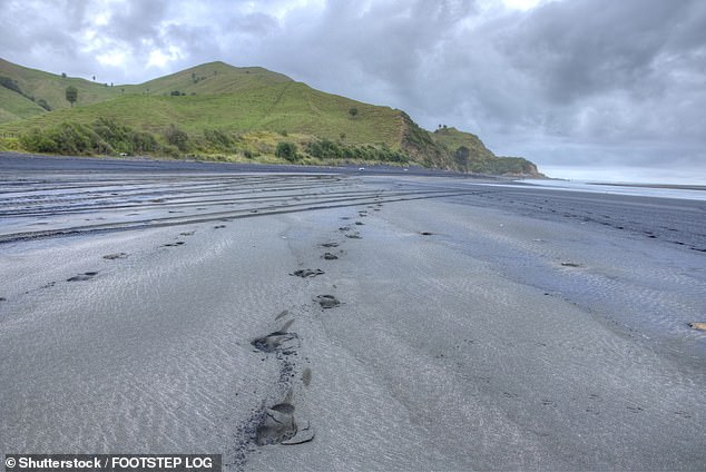 Police and emergency services, along with hundreds of volunteers and locals, spent days searching for the family after his ute was found below the high tide line at Kiritehere Beach (pictured) with waves crashing into it