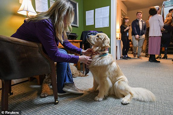 A woman fixes a scarf on Maxine, a golden retriever, as people vote after midnight on the day of the US presidential election in the living room of the Tillotson House at Balsams Hotel in Dixville Notch, New Hampshire, US, January 23, 2024 REUTERS/Faith Ninivaggi