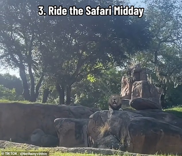 Her third warning was to advise visitors to 'never drive on safari in the middle of the day' because of the heat