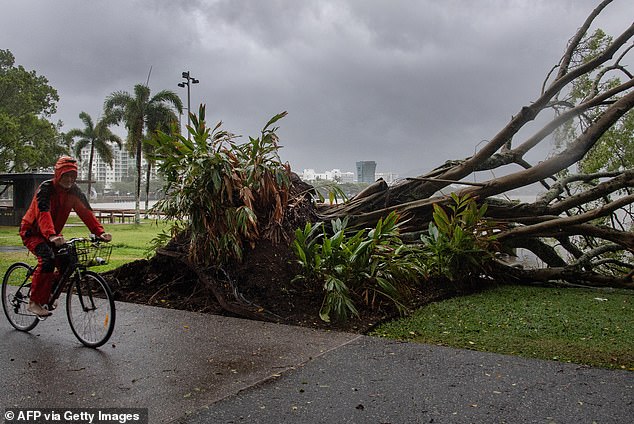 Cyclone Jasper wreaked havoc on Cairns when it made landfall on December 13 last year