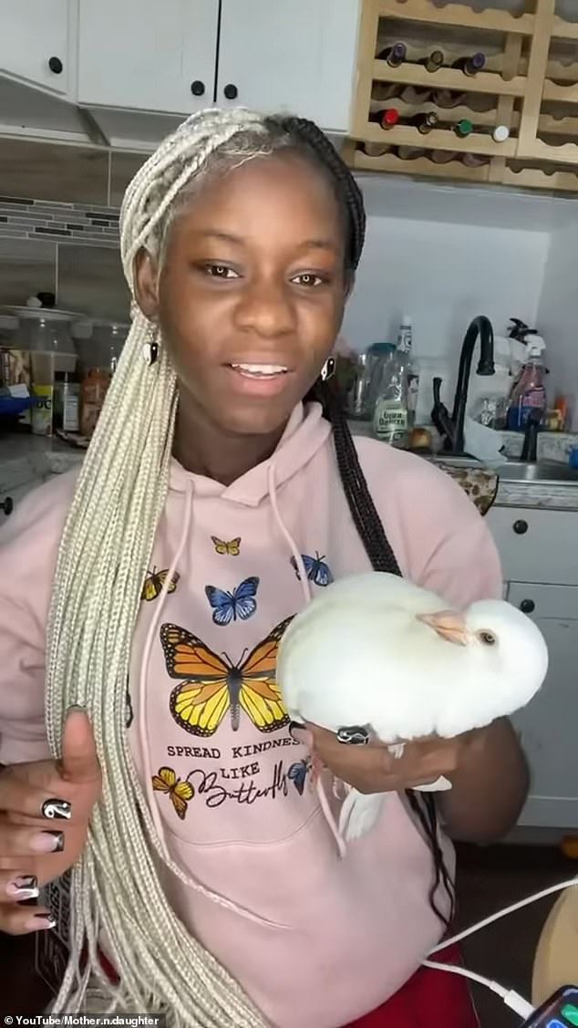 In a sickening 49-minute clip, she tortured a pigeon before cutting off its head, as her viewers flooded her with more requests to abuse animals