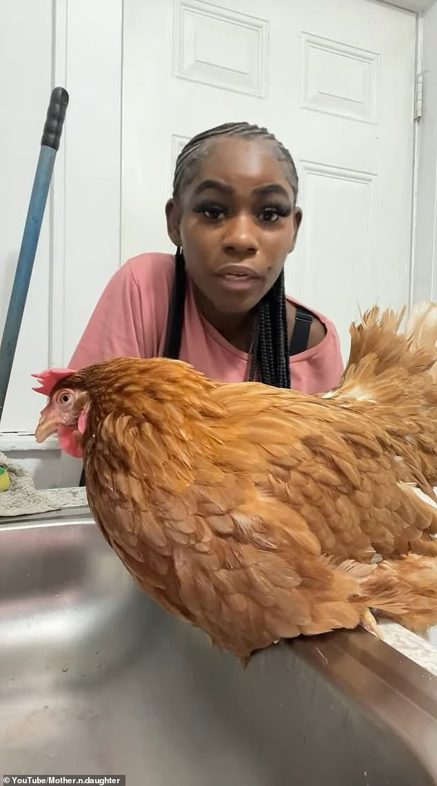 In another clip, she breaks the neck of a live chicken before plucking out all the feathers